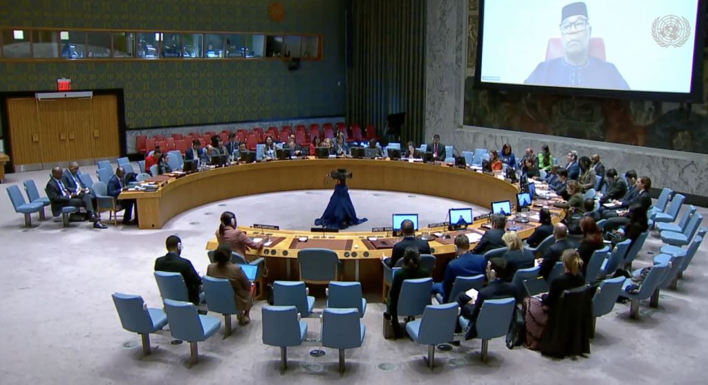 Выступление заместителя Постоянного представителя А.М.Евстигнеевой на заседании СБ ООН по ситуации в Судане